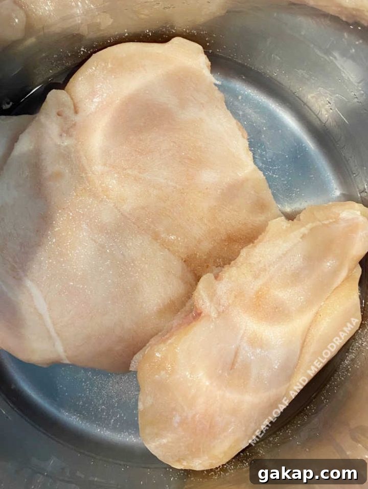 frozen chicken breasts in the instant pot pressure cooker