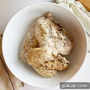 instant pot frozen chicken breasts cooked in white bowl