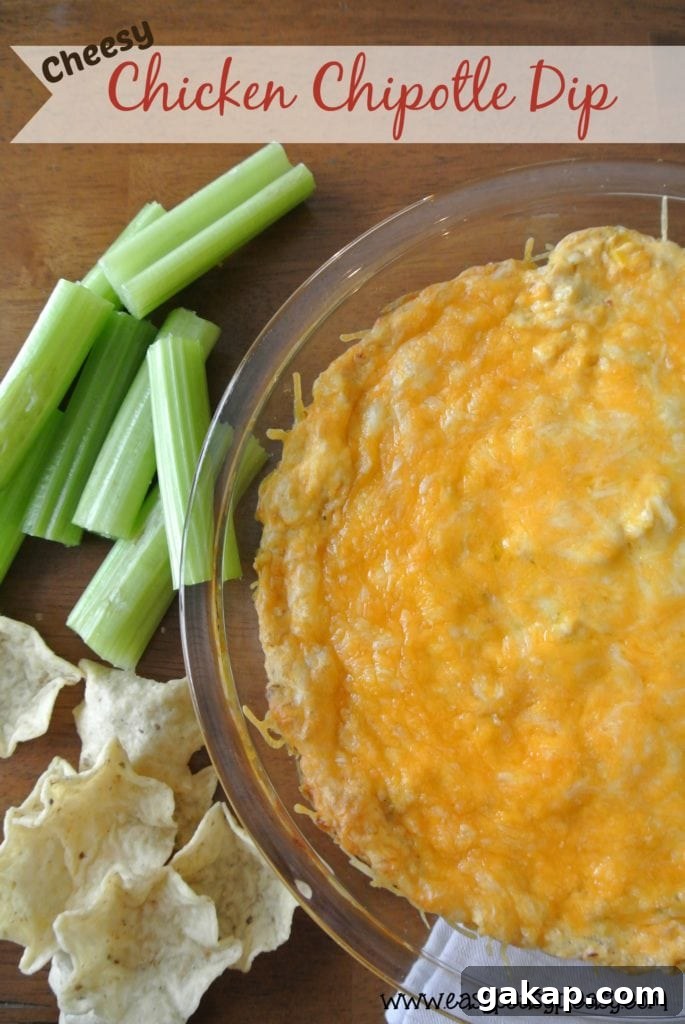 Creamy Chipotle Chicken & Cheese Dip Recipe 2 Cheesy Chicken Chipotle Dip made easy with a rotisserie chicken.