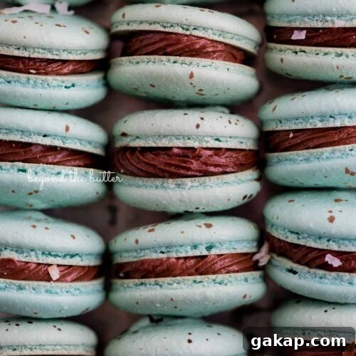 Stacked robin's egg macarons with milk chocolate frosting and toasted coconut flakes.