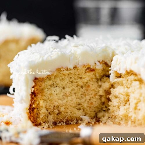 Sliced single layer coconut cake with black background.