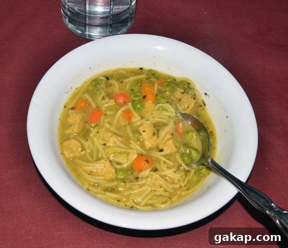 vegetarian chicken soup