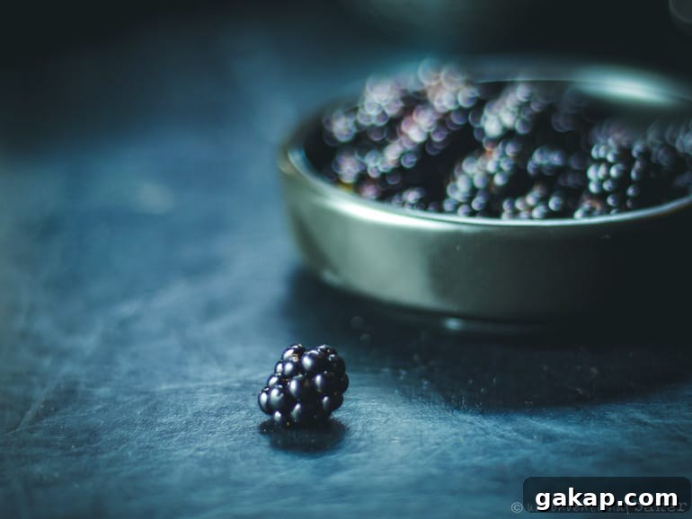dewberries / wild blackberries used in pie