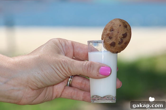 Kid-Friendly Picnic Planning: Fun Ideas, Packing Tips & Games 5 gluten-free-cookies-and-milk