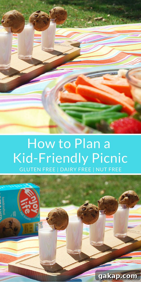 Kid-Friendly Picnic Planning: Fun Ideas, Packing Tips & Games 8 gluten-free-kid-friendly-picnic-pin