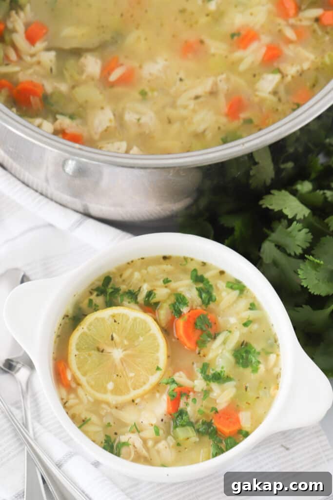 lemon chicken orzo soup recipe in a white serving bowl.