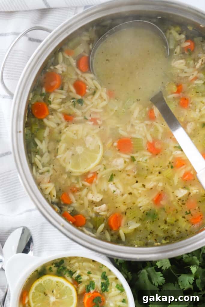 A pot of greek lemon chicken soup with orzo.