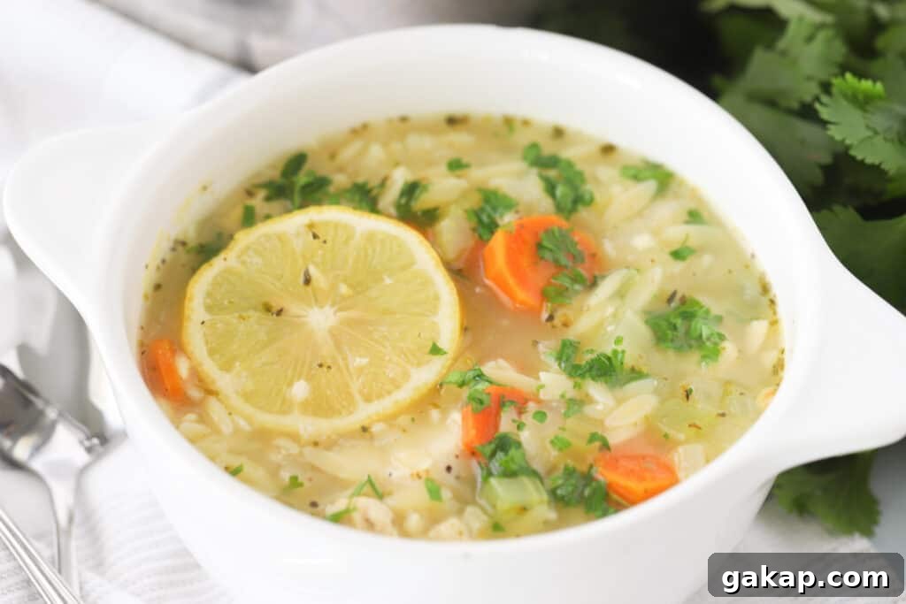 A bowl of chicken soup with orzo and carrots and garnished with a slice of lemon and fresh parsley. 