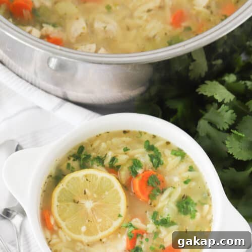 lemon chicken orzo soup recipe.