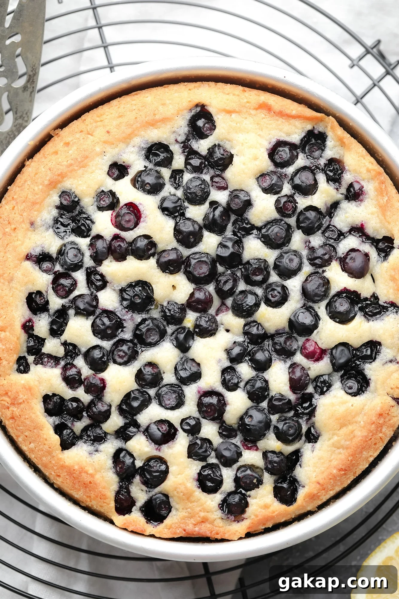 Moist Vegan Blueberry Layer Cake Recipe 5 a baked vegan blueberry cake in a round metal pan.