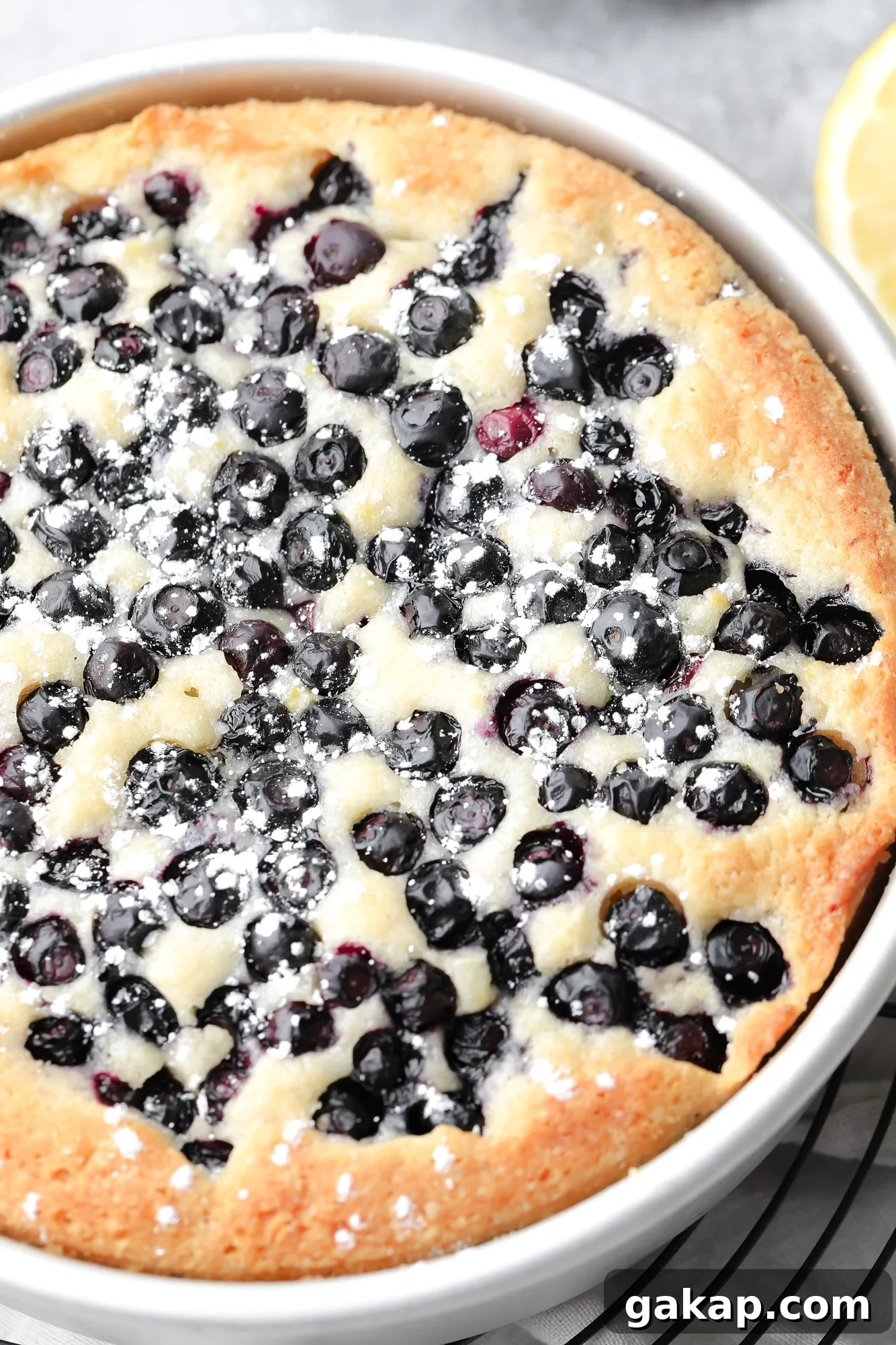 Moist Vegan Blueberry Layer Cake Recipe 6 close up on a baked vegan blueberry cake dusted with powdered sugar.