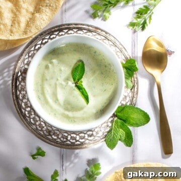 Indian mint sauce in a white bowl.