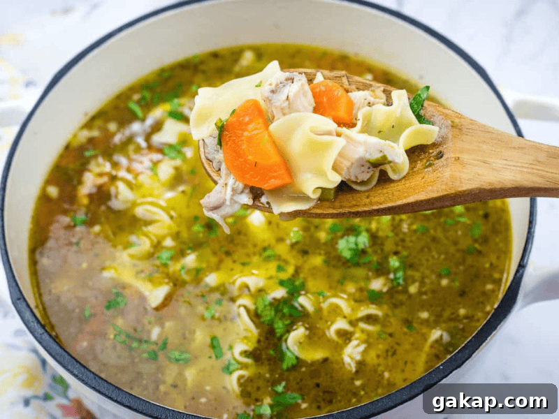 13 Classic Vintage Recipes for Cozy Fall Cooking 14 A wooden spoon holds chicken noodle soup with carrots and parsley over a pot filled with similar soup.