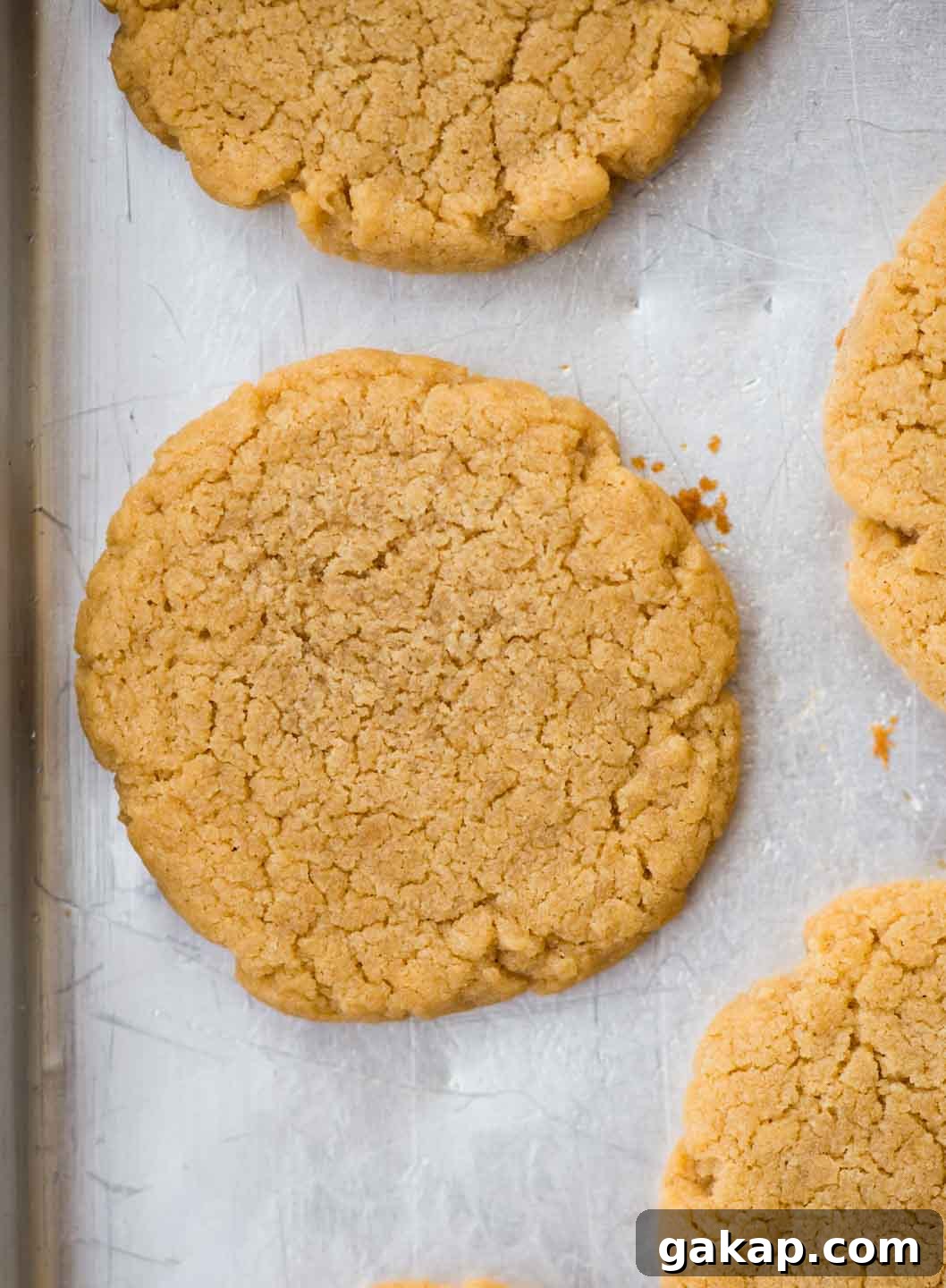 Close-up of baked peanut butter cookies