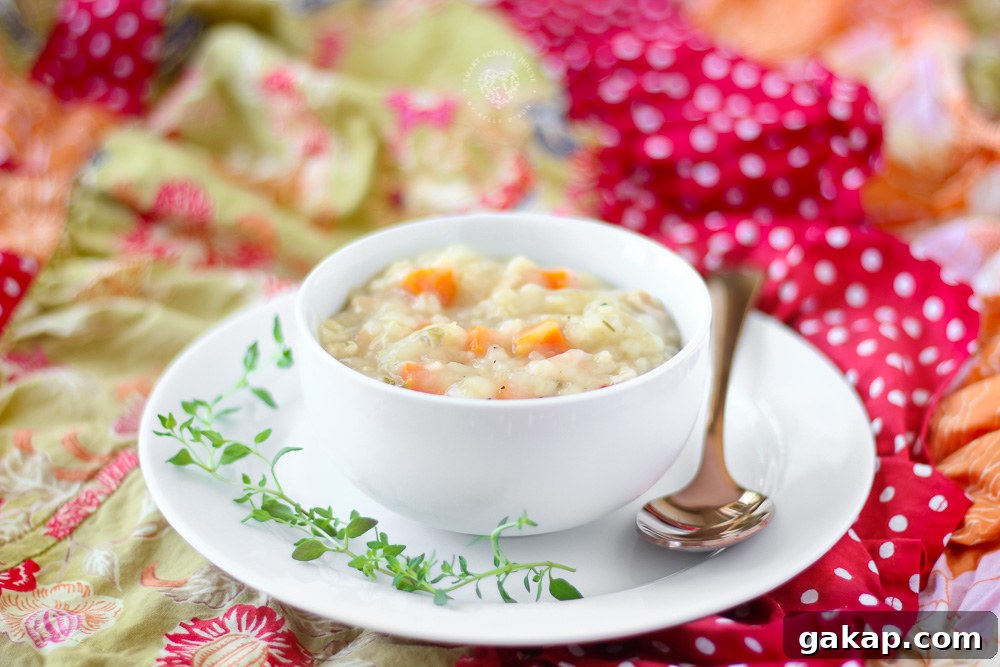 Bowl of chicken and rice soup