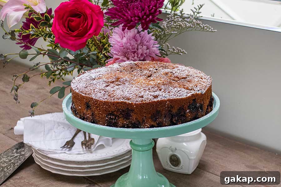 whole snacking blueberry cake on a cake platter dusted with powdered sugar with desert plates and forks