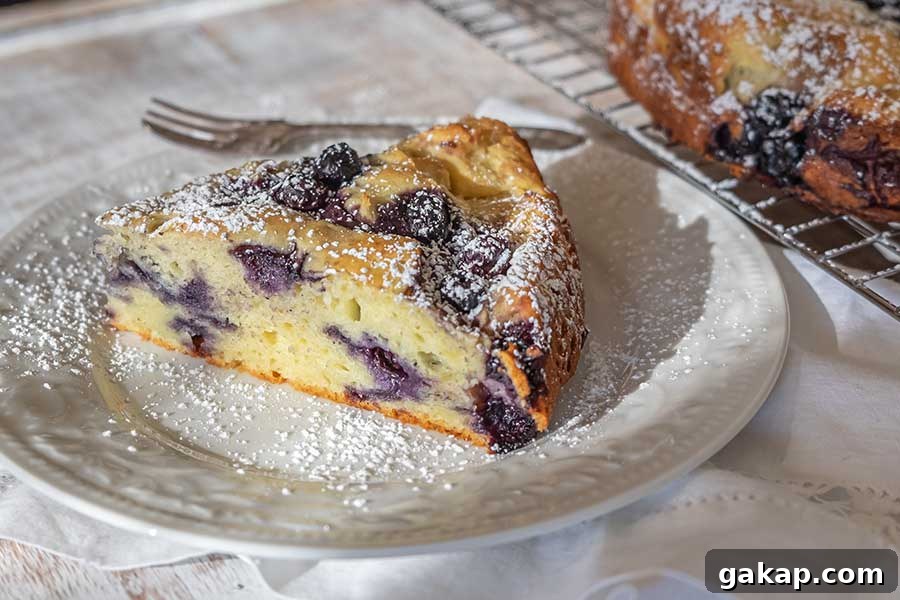 ricotta blueberry breakfast cake on a dessert platter dusted with powdered sugar