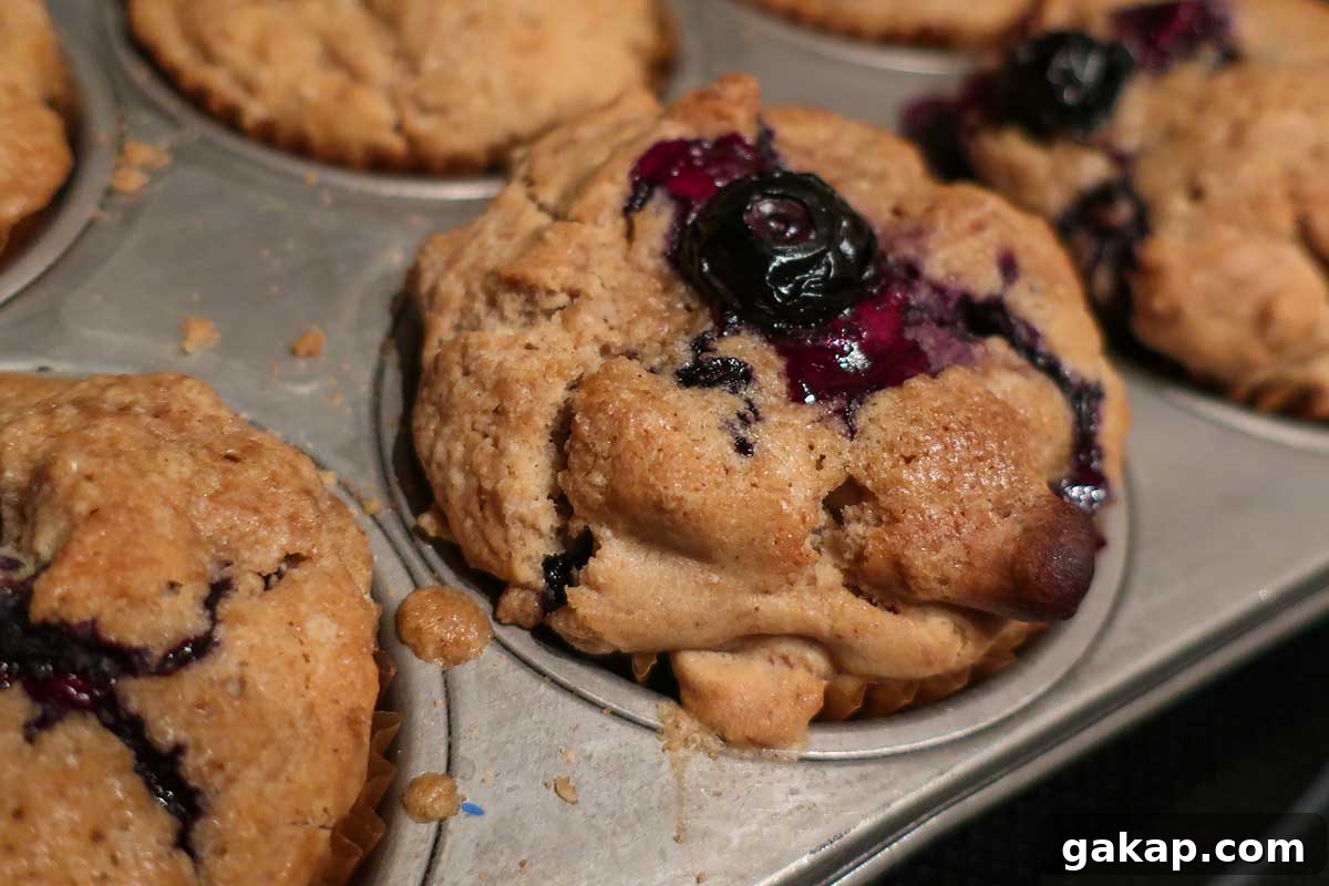close up of one baked blueberry walnut muffin in a muffin pan oozing with blueberry sauce