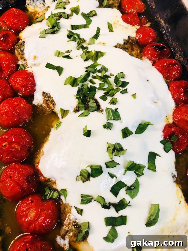 Cheesy Pesto Chicken with Tomatoes