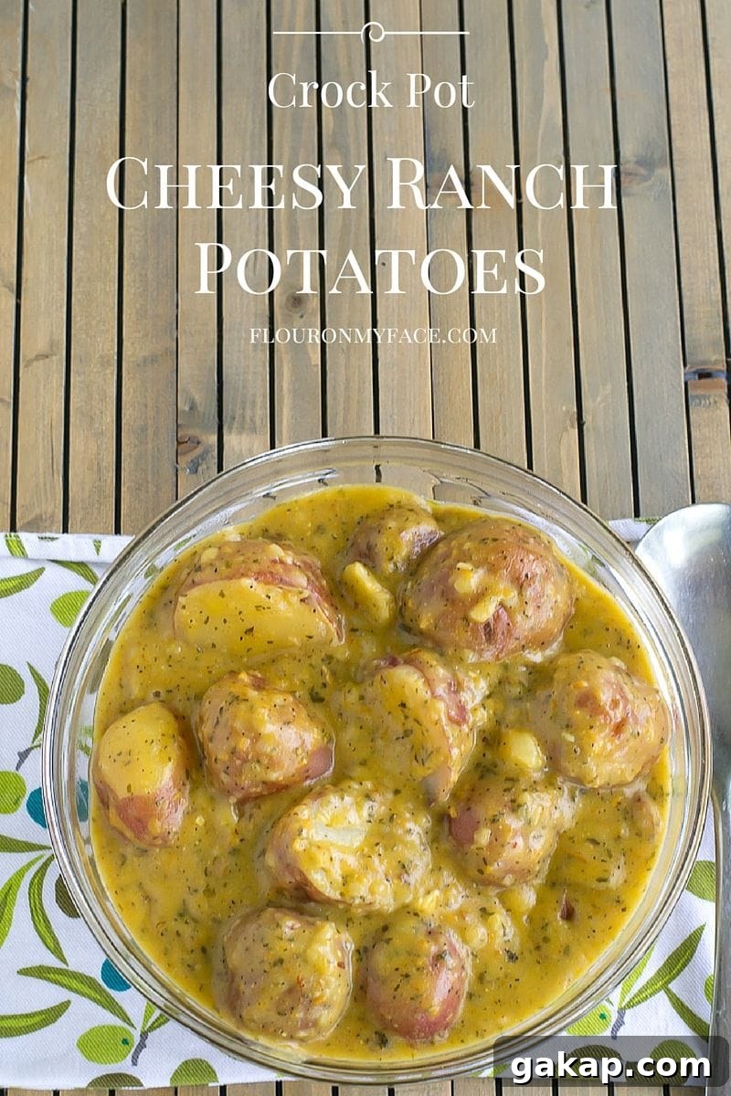 Easy Crock Pot Cheesy Ranch Potatoes recipe made with baby red potatoes
