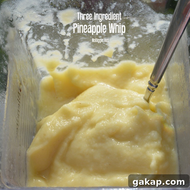 three ingredient pineapple whip | NoBiggie.net