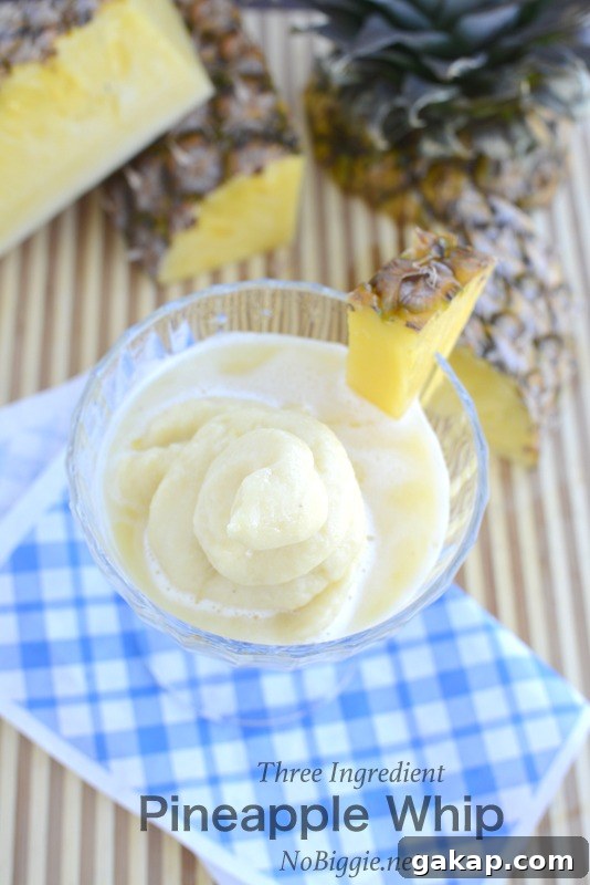 3 ingredient dole whip-float | NoBiggie.net