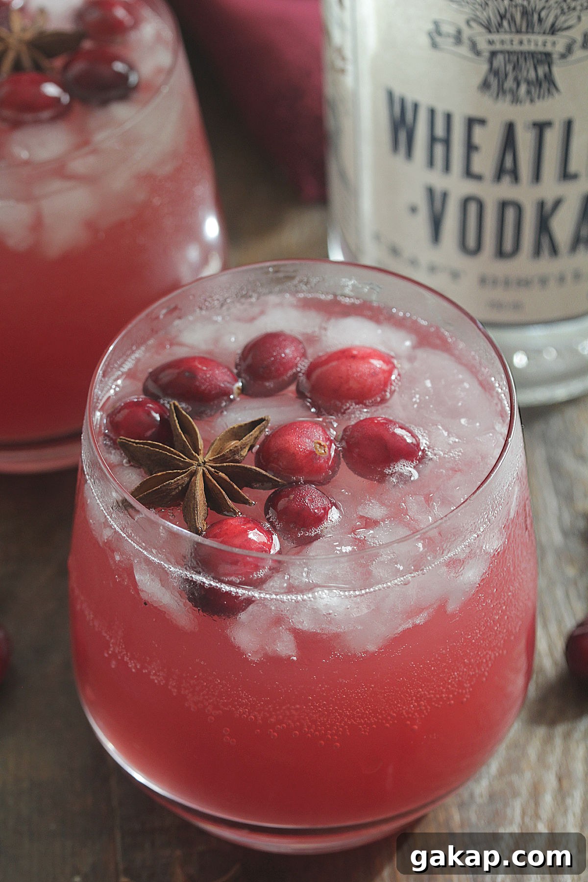 Festive Vodka Sippers: Holiday Cocktail Ideas for Parties 5 Holiday Vodka Sippers - red punch with cranberries