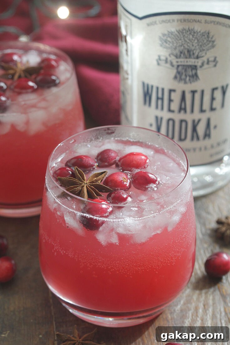 Festive Vodka Sippers: Holiday Cocktail Ideas for Parties 6 Holiday Vodka Sippers - red punch with cranberries