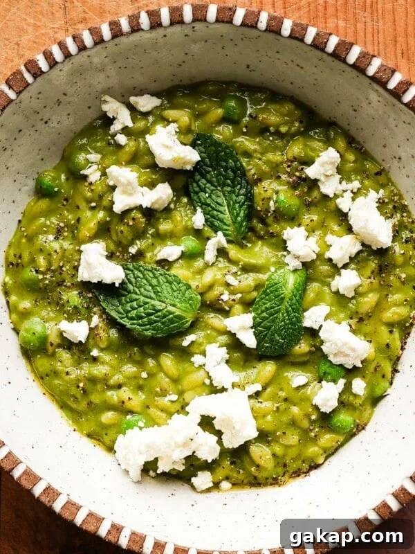 Creamy Roasted Red Pepper & Tomato Pasta Recipe 11 Creamy pea and mint orzo risotto topped with feta and fresh mint leaves.