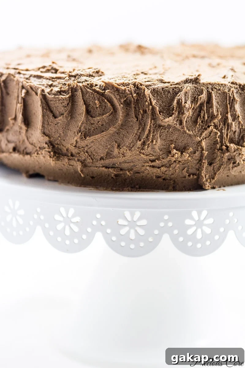 Classic Moist Chocolate Cake Recipe for Rich, Decadent Flavor 2 Classic Chocolate Cake - Precious Core
