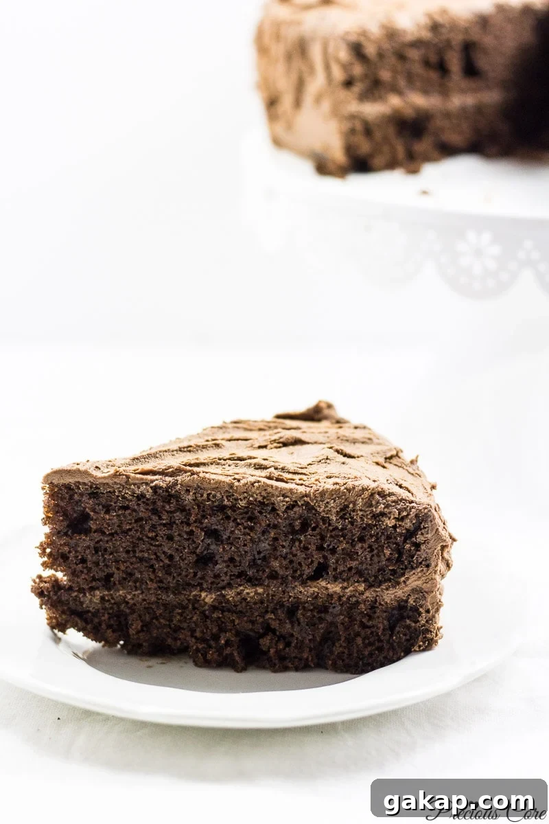 Classic Moist Chocolate Cake Recipe for Rich, Decadent Flavor 14 Perfect chocolate cake - Precious Core
