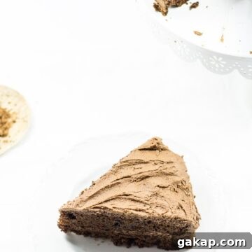 Classic Moist Chocolate Cake Recipe for Rich, Decadent Flavor 15 Slice of chocolate cake on a white background.