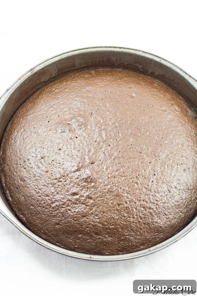 Classic Moist Chocolate Cake Recipe for Rich, Decadent Flavor 9 classic chocolate cake just baked