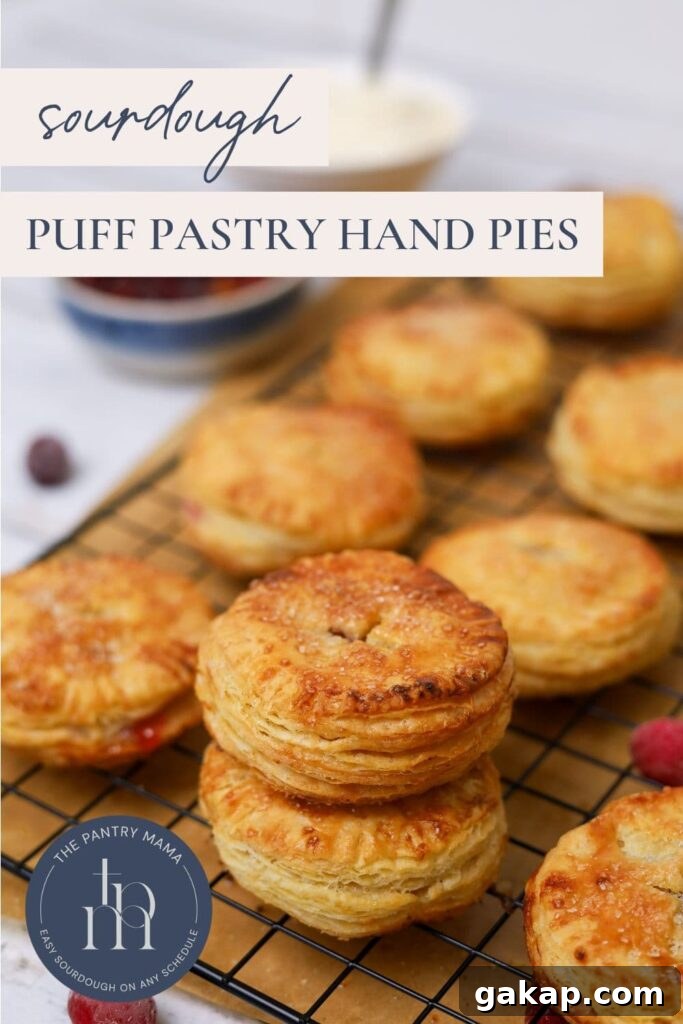 Apple Cranberry Sourdough Hand Pies Recipe for Flaky Pastries 15 Sourdough Apple & Cranberry Hand Pies - Pinterest Image