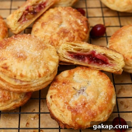Apple Cranberry Sourdough Hand Pies Recipe for Flaky Pastries 16 img 29670 16