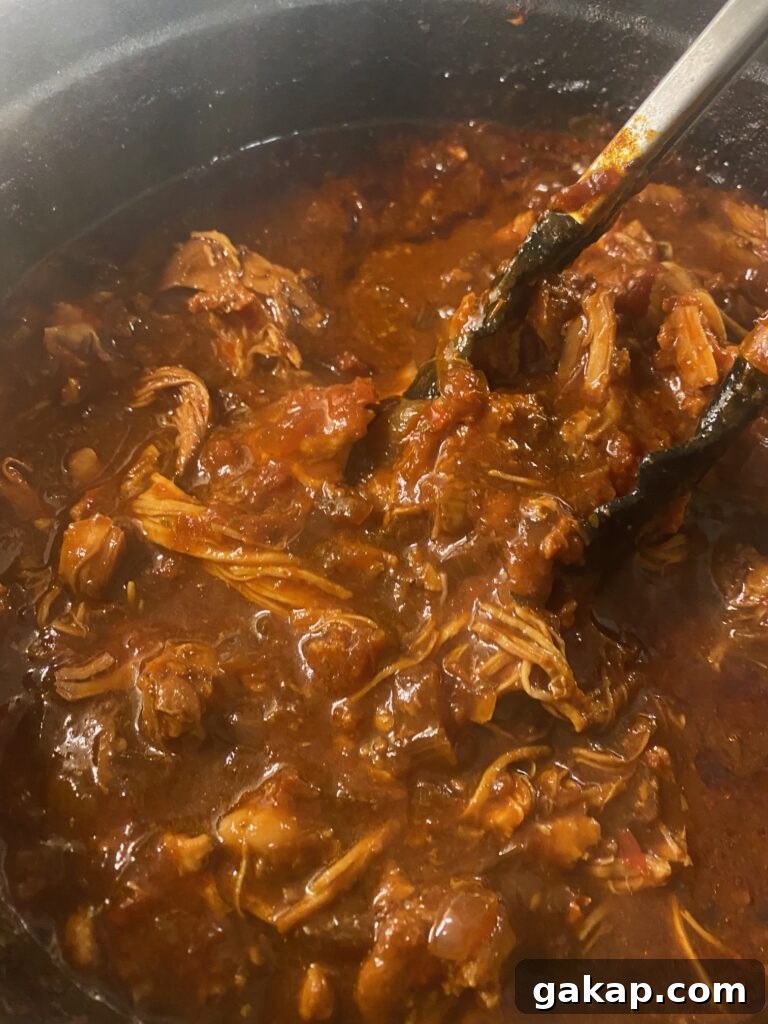 stirring the birria
