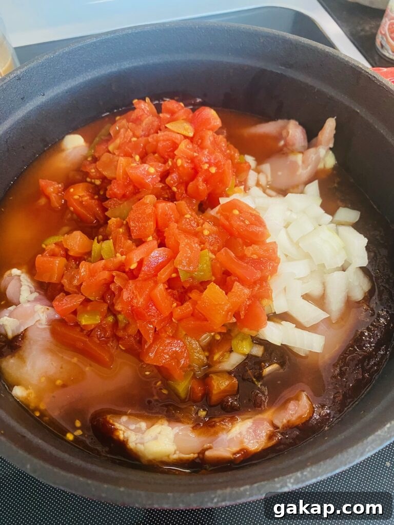 adding onions and garlic to Smoked Chicken Birria