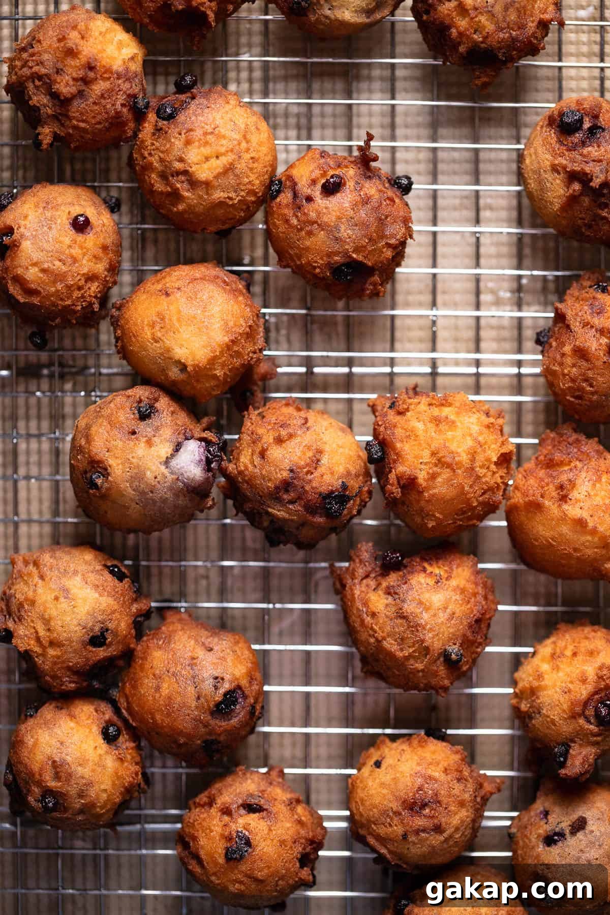 Mini blueberry donuts fried to golden brown on a wire rack cooling.