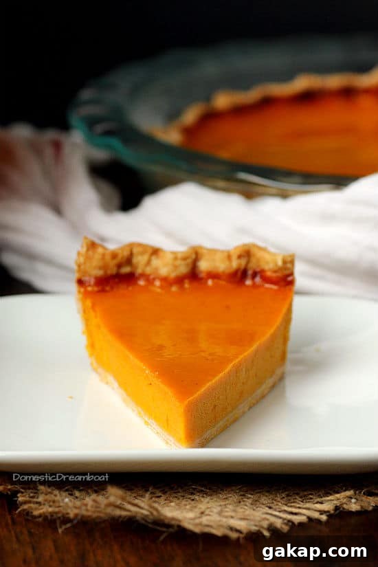 Slice of Pumpkin pie on a plate