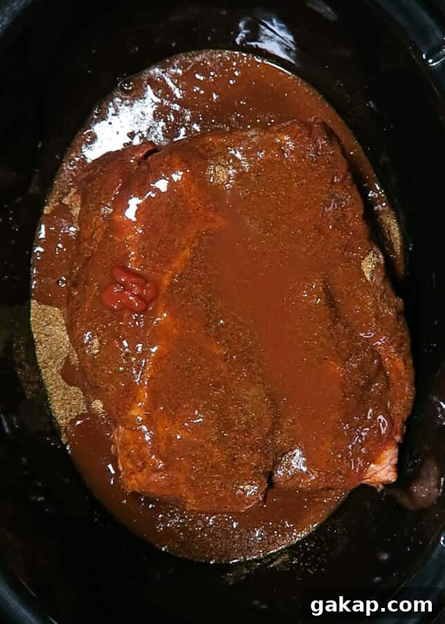 Mexican Shredded Beef Recipe for Crock Pot or Instant Pot 12 img 3209 11