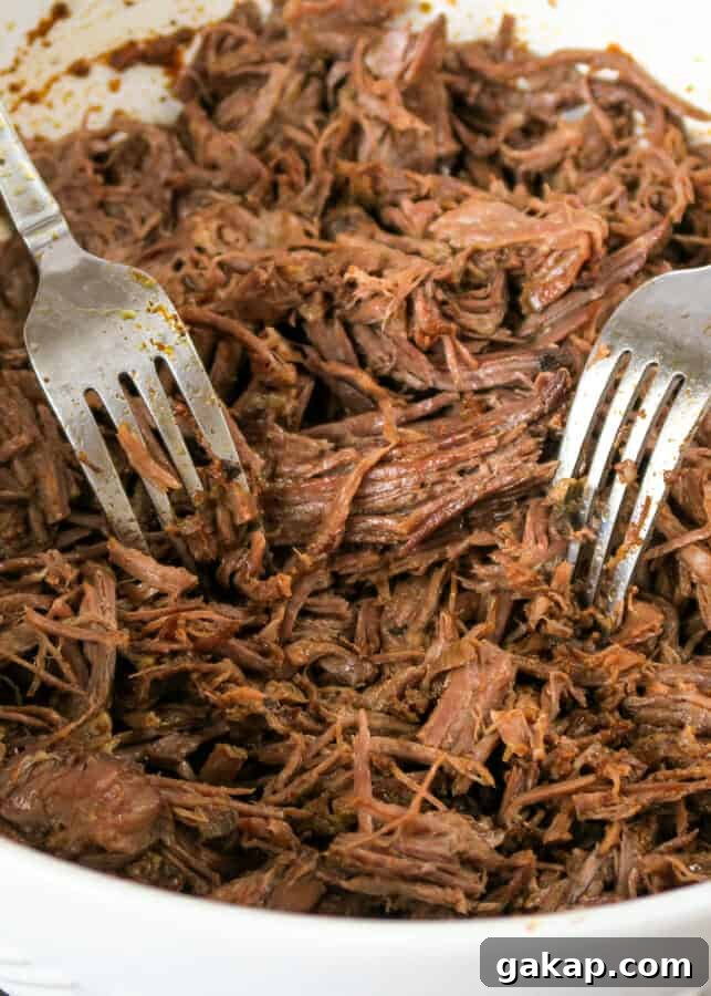 Mexican Shredded Beef Recipe for Crock Pot or Instant Pot 14 img 3209 13