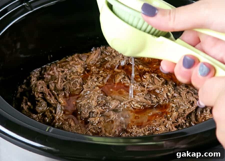 Mexican Shredded Beef Recipe for Crock Pot or Instant Pot 15 img 3209 14