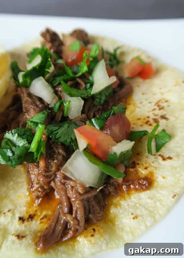Mexican Shredded Beef Recipe for Crock Pot or Instant Pot 16 easy MEXICAN SHREDDED BEEF {EASY, CROCK POT OR INSTANT POT RECIPE} used in shredded beef soft tacos