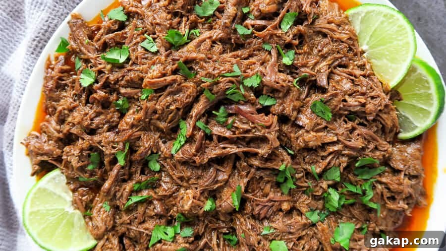 Mexican Shredded Beef Recipe for Crock Pot or Instant Pot 17 MEXICAN SHREDDED BEEF {EASY, CROCK POT OR INSTANT POT RECIPE}