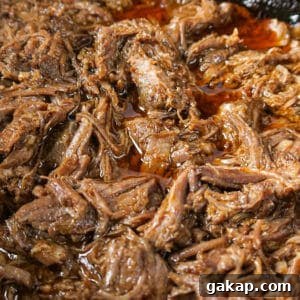 Mexican Shredded Beef Recipe for Crock Pot or Instant Pot 20 img 3209 19