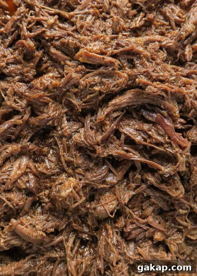 Mexican Shredded Beef Recipe for Crock Pot or Instant Pot 3 close up of the Mexican Shredded Beef (Easy, Crock Pot or Instant Pot Recipe)
