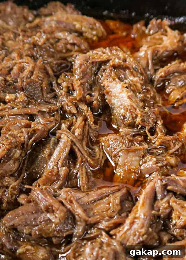 Mexican Shredded Beef Recipe for Crock Pot or Instant Pot 7 Mexican Shredded Beef {Easy, Crock Pot or Instant Pot Recipe}