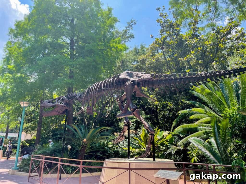 skeleton of a dinosaur in Dinoland USA.