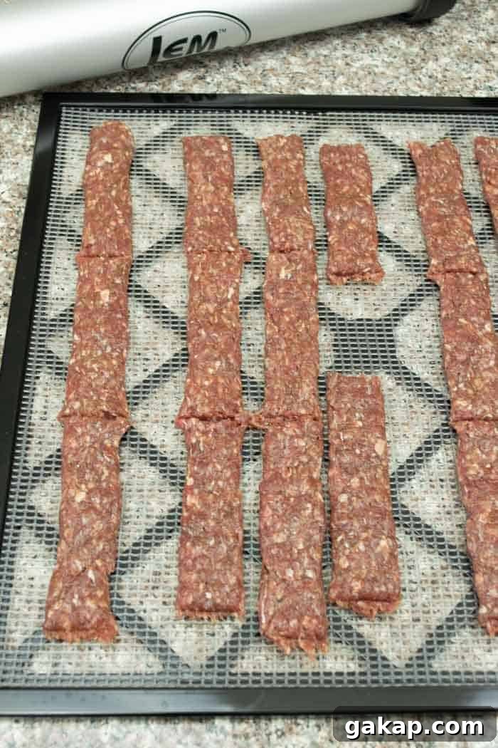 Spicy Fiery Ground Beef Jerky Recipe 12 Ground jerky strips on dehydrator tray