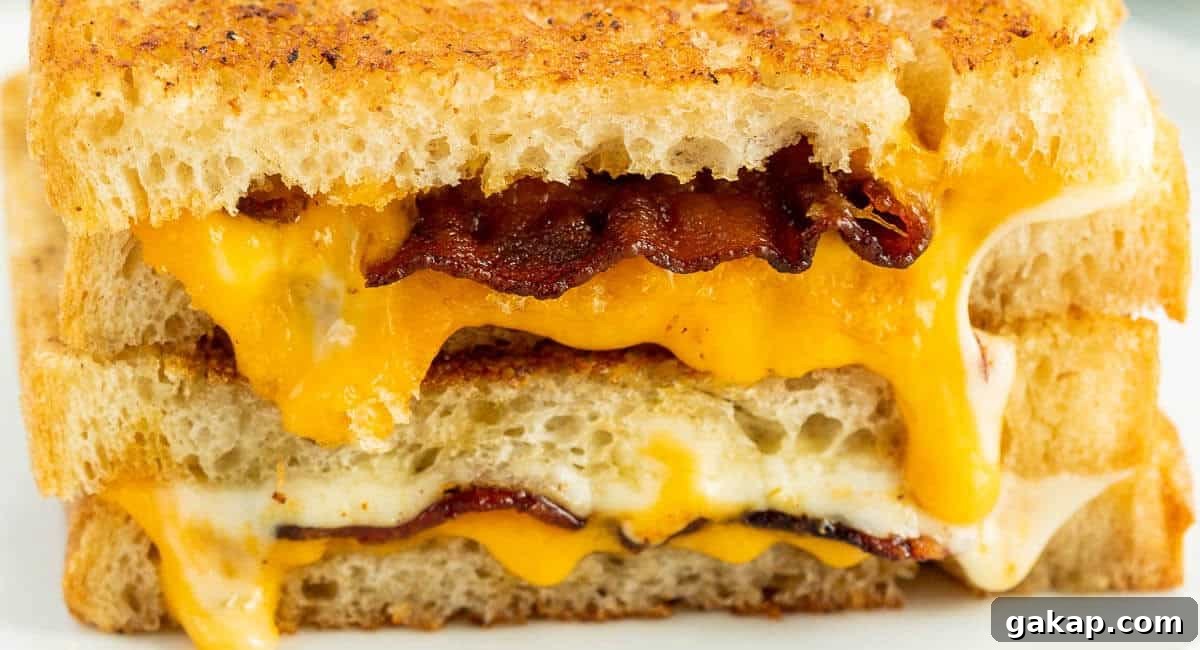 Side profile image of bacon grilled cheese sandwich. 